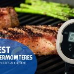 Best Smoker Thermomteres Reviews Buyer’s & Guide